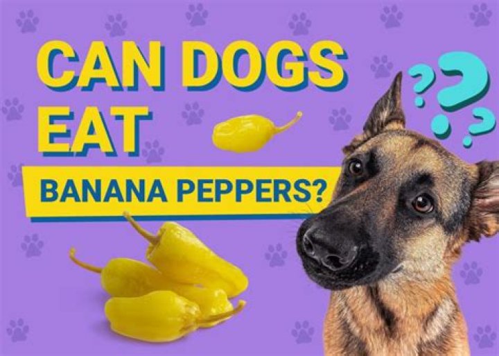 Are Banana Peppers Toxic To Dogs