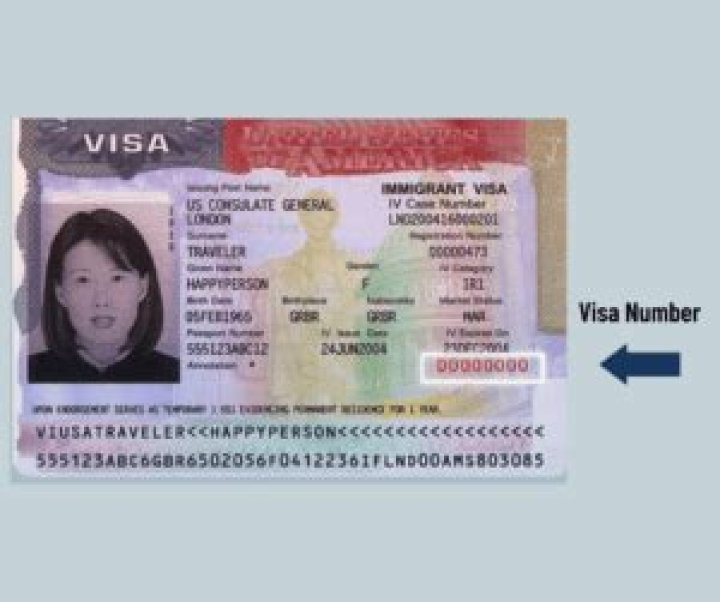 Are Travel Document Number And Visa Number Same
