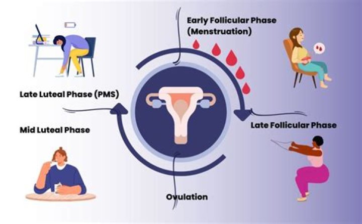 Can Lysine Affect Your Menstrual Cycle
