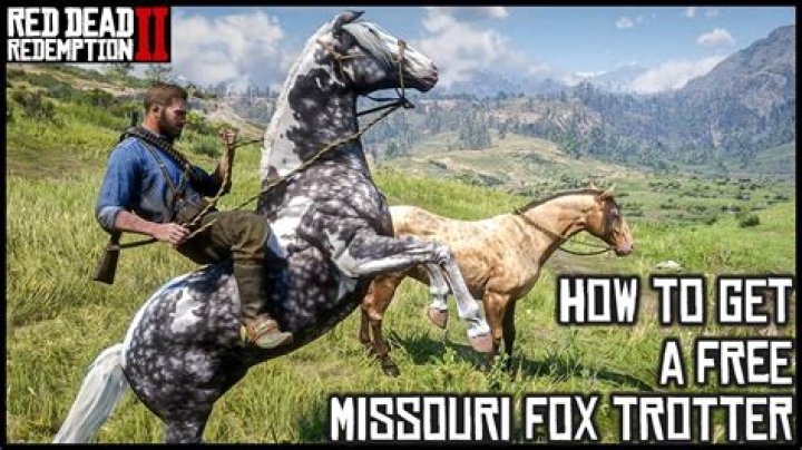 Can Missouri Fox Trotters Be Found At Camps Rdr2