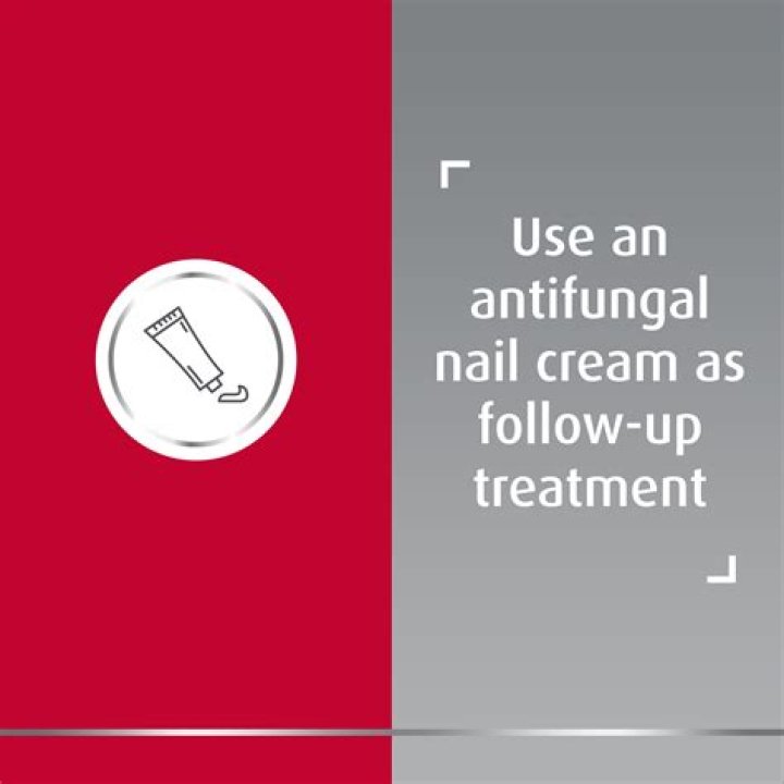 Can You Use Anti Fungal Nail Cream On Dogs