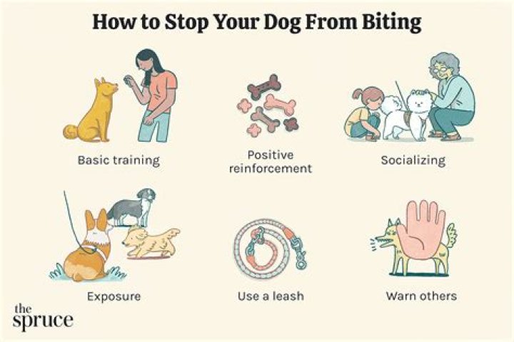 Do Gophers Cause Disease When Biting Dogs