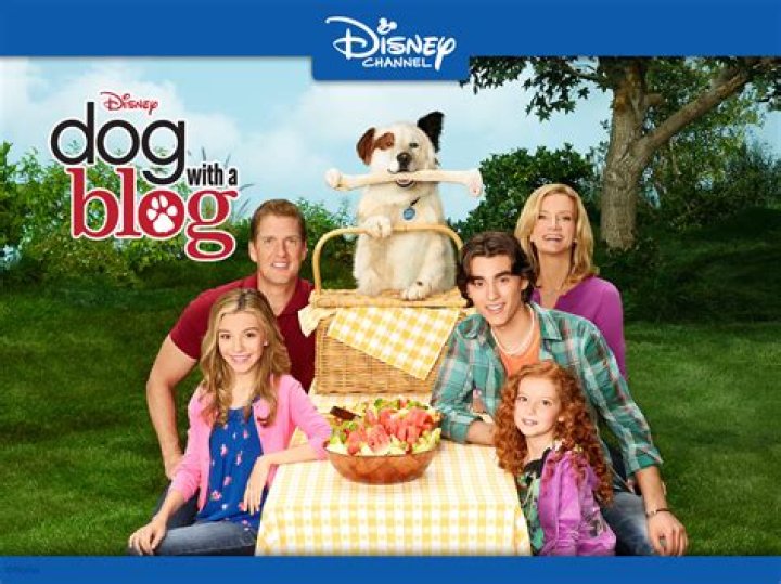Does Avery Like Karl In Dog With A Blog