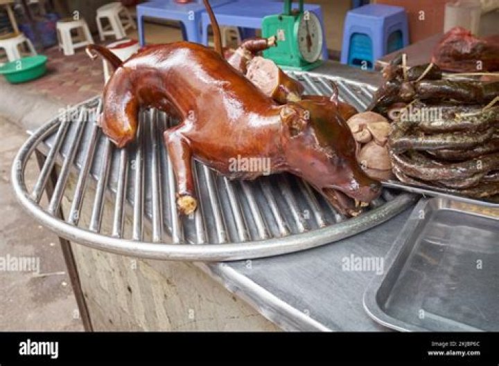 Does Dog Meat Taste Good