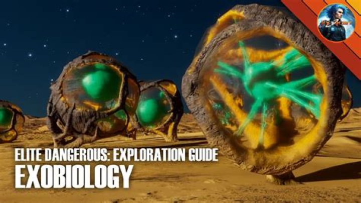 Elite Dangerous How To Start Over