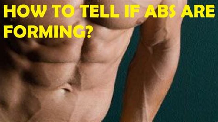 How Do You Know Your Abs Are Forming