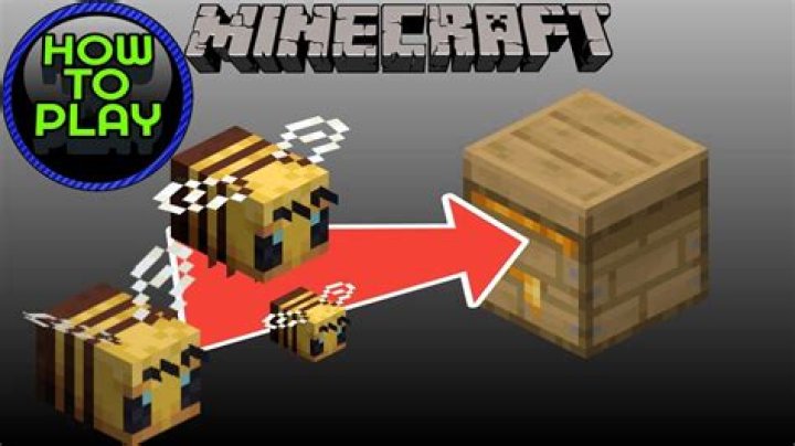 How Far Do Bees Travel From Their Hive Minecraft