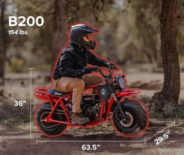 How Fast Does A 196Cc Baja Mini Bike Go