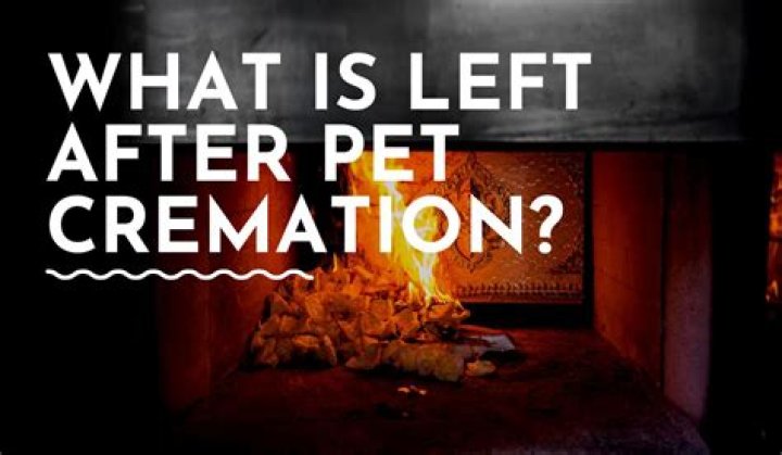How Long Until You Get Dog Ashes After Cremation
