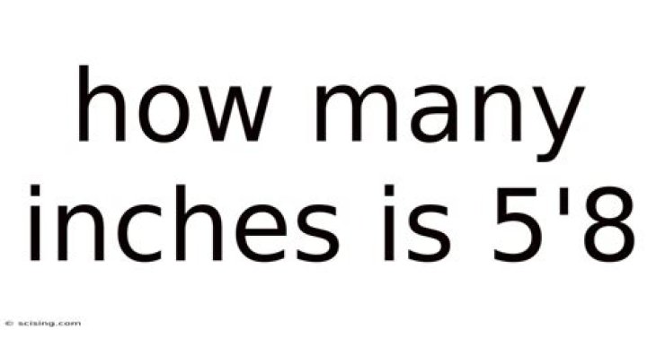 How Many Inches Is 5 8