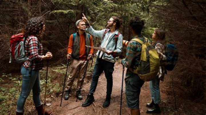 How Many People Get Lost In The Woods Each Year