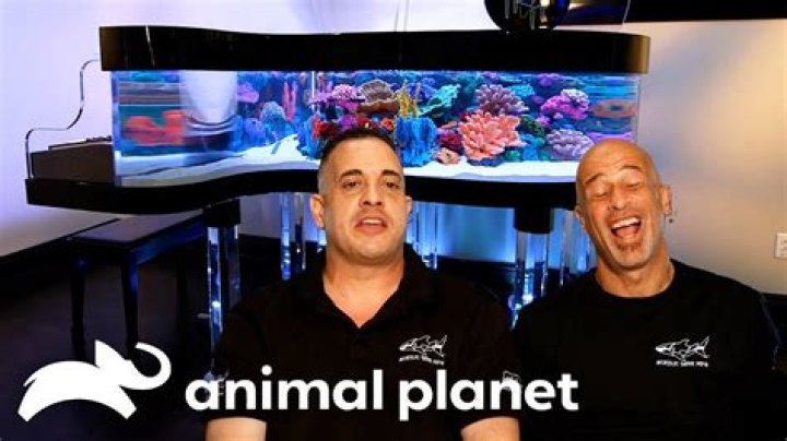 How Much Are The Fish Tanks On Tanked