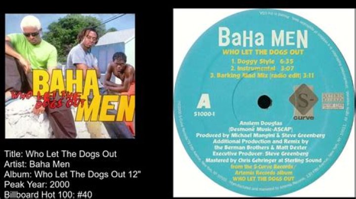 How Much Did The Baja Men Make For Dogs Out