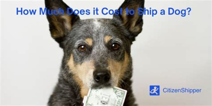 How Much Does It Cost To Ship My Dog