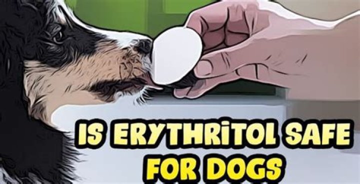 How Much Erythritol Is Bad For Dogs