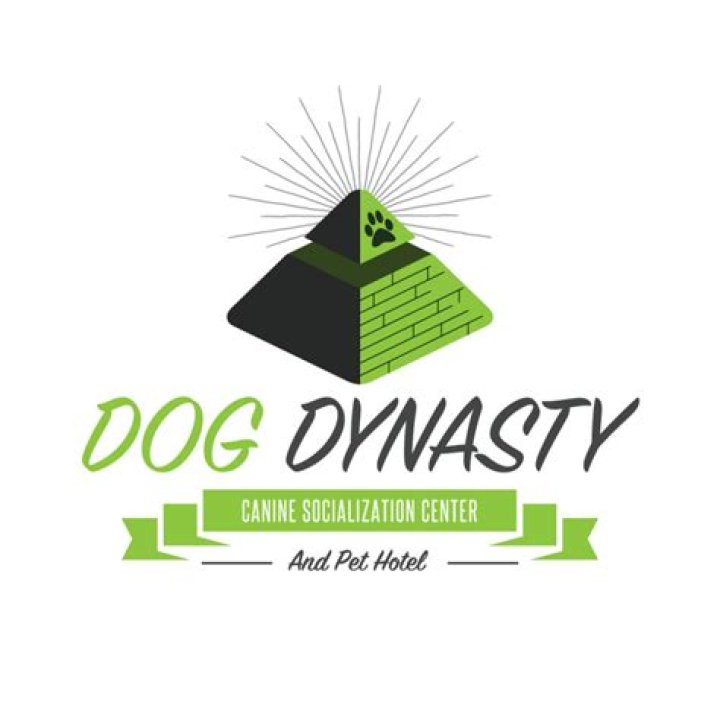 How Much Is Dog Dynasty Net Worth
