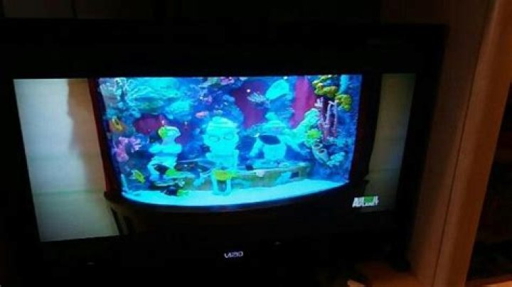 How Much Was Jeff Dunham’s Fish Tank