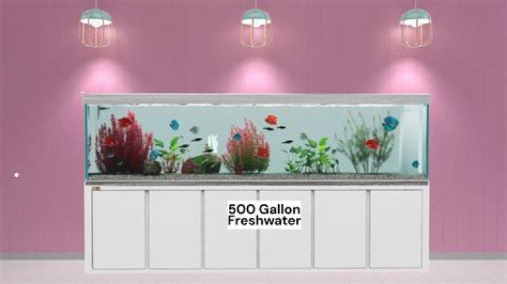 How Much Water Does A 500 Gallon Fish Tank Hold