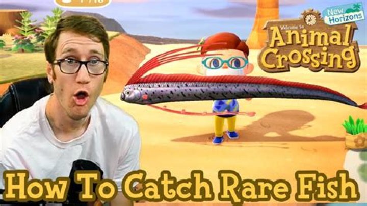 How To Catch Rare Fish In Animal Crossing Pocket Camp