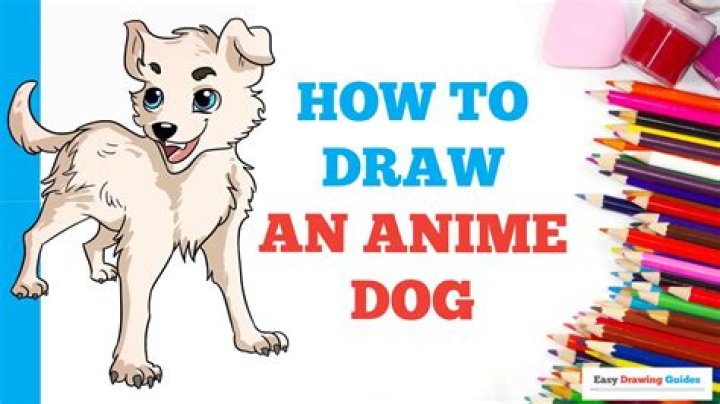How To Draw Anime Dog