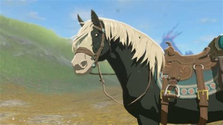 How To Get The Travelers Saddle In Botw
