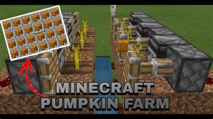How To Make A Pumpkin Farm