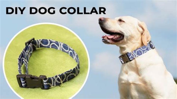 How To Make Dog Less Static