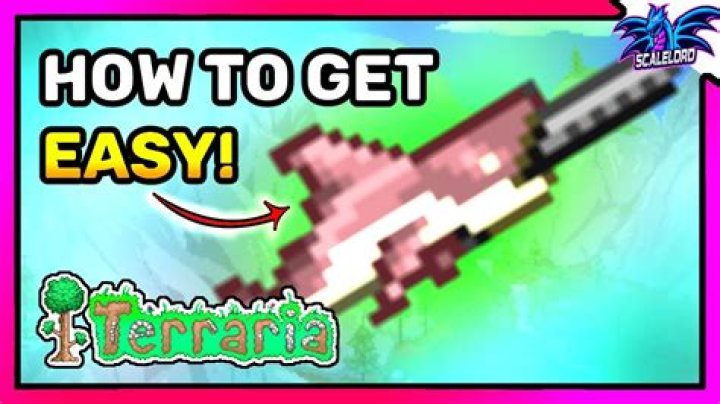 How To Make Mega Shark
