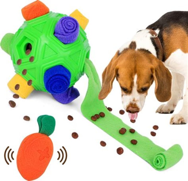 Is It Safe For Dogs To Play With Stress Balls