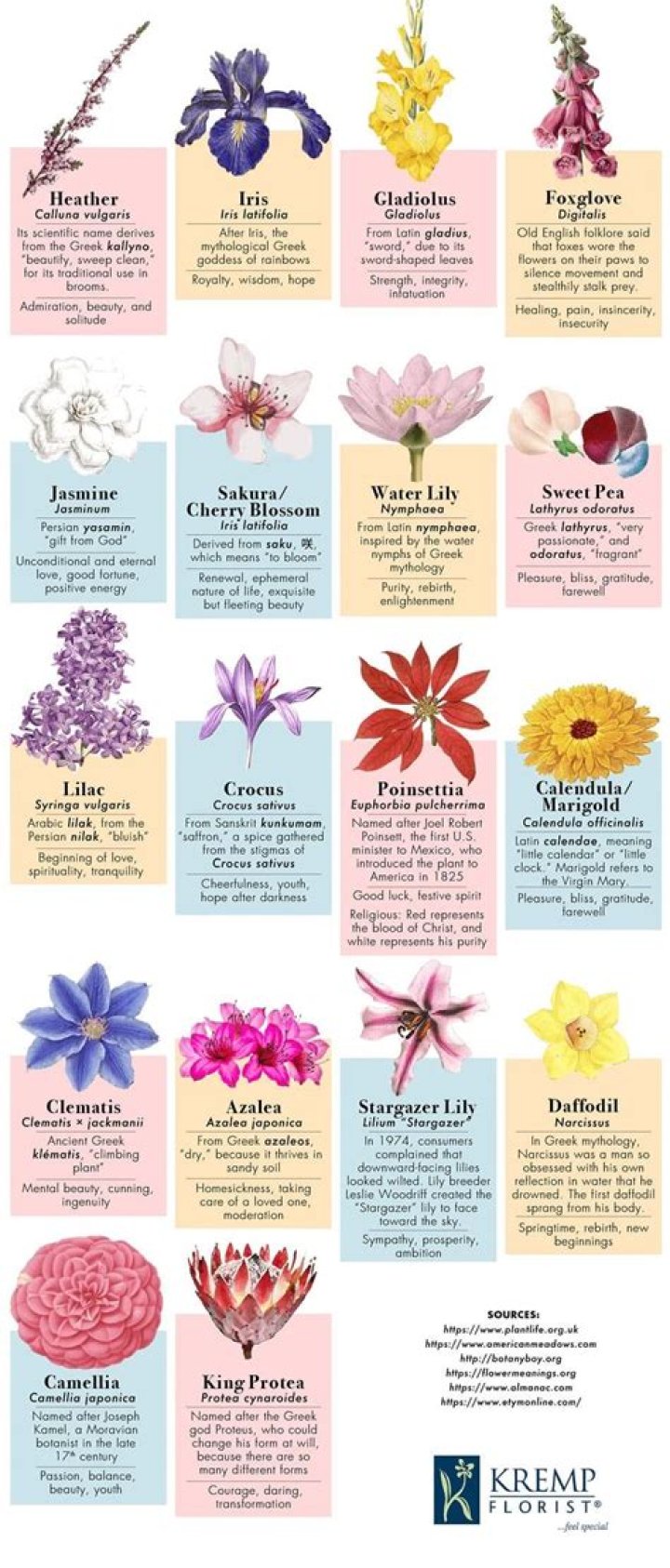 Is There A Flower That Represents Mental Health