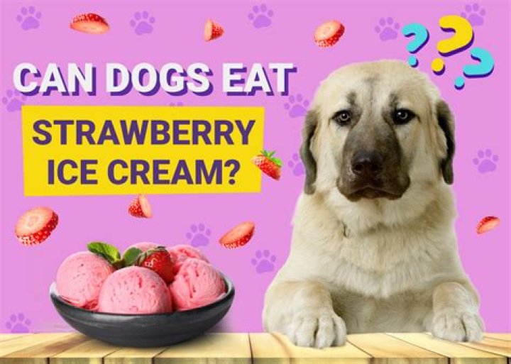Question: Can Dogs Eat Strawberry Ice Cream