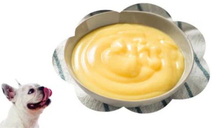 Question: Can Dogs Have Custard