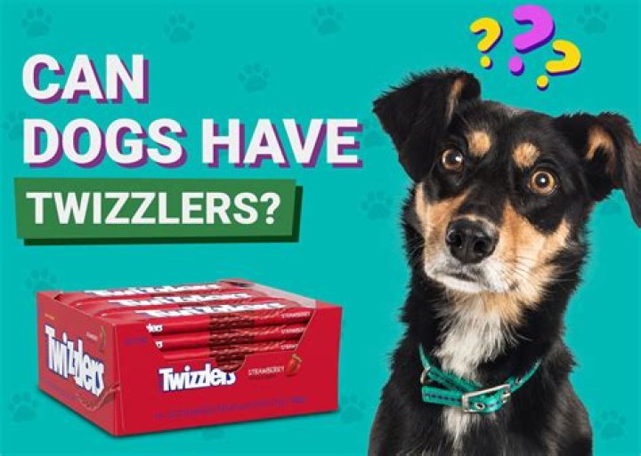 Question: Can Dogs Have Twizzlers