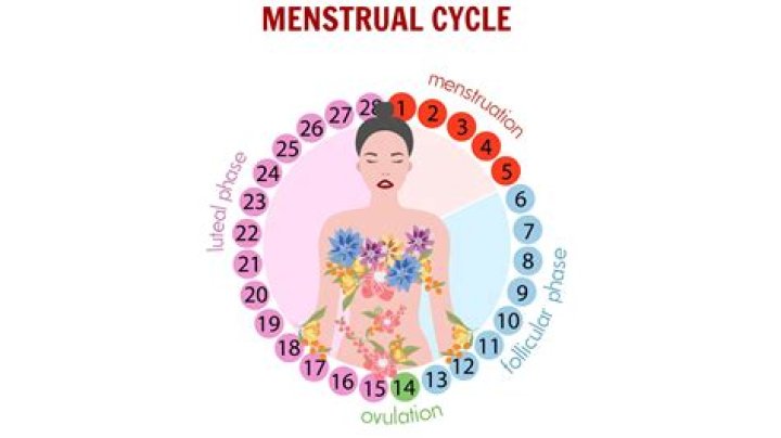 Question: Can H Pylori Interfere With Menstrual Cycle
