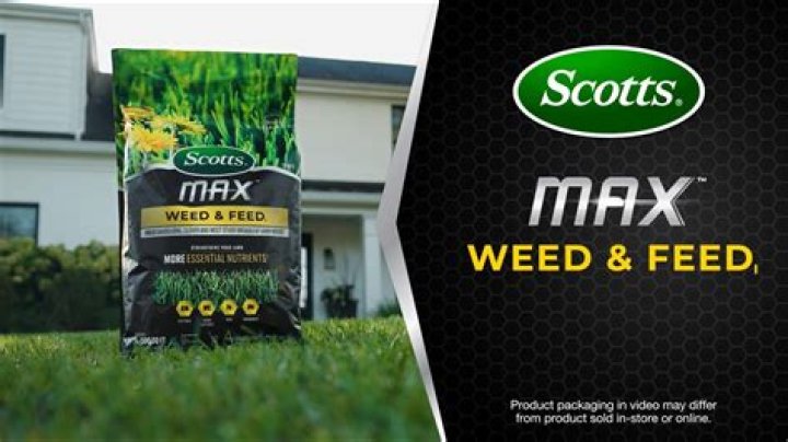 Question: Can Scotts Weed And Feed Hurt My Dog