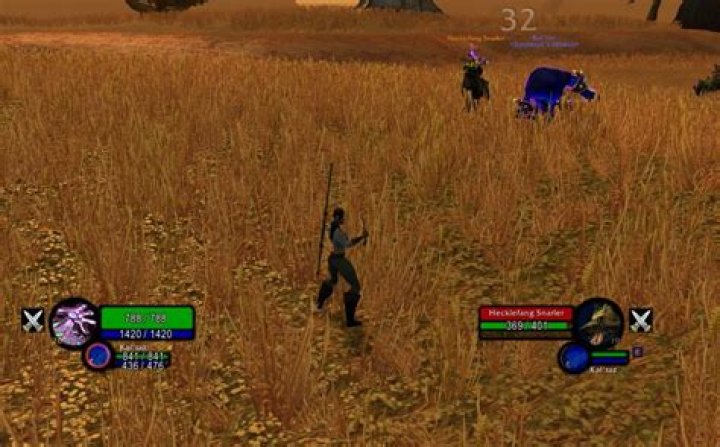 Question: Can’t See Enemy Health Numberswow