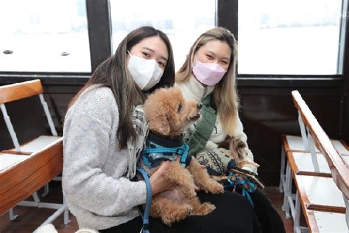 Question: Can You Take Dogs On Princess Cruises