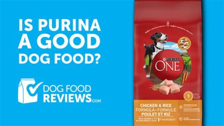 Question: Does Nestle Make Purina Dog Food
