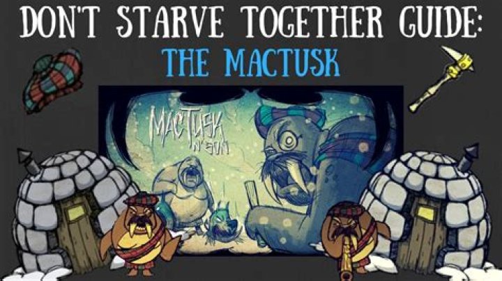 Question: Don’t Starve Mactusk Camp