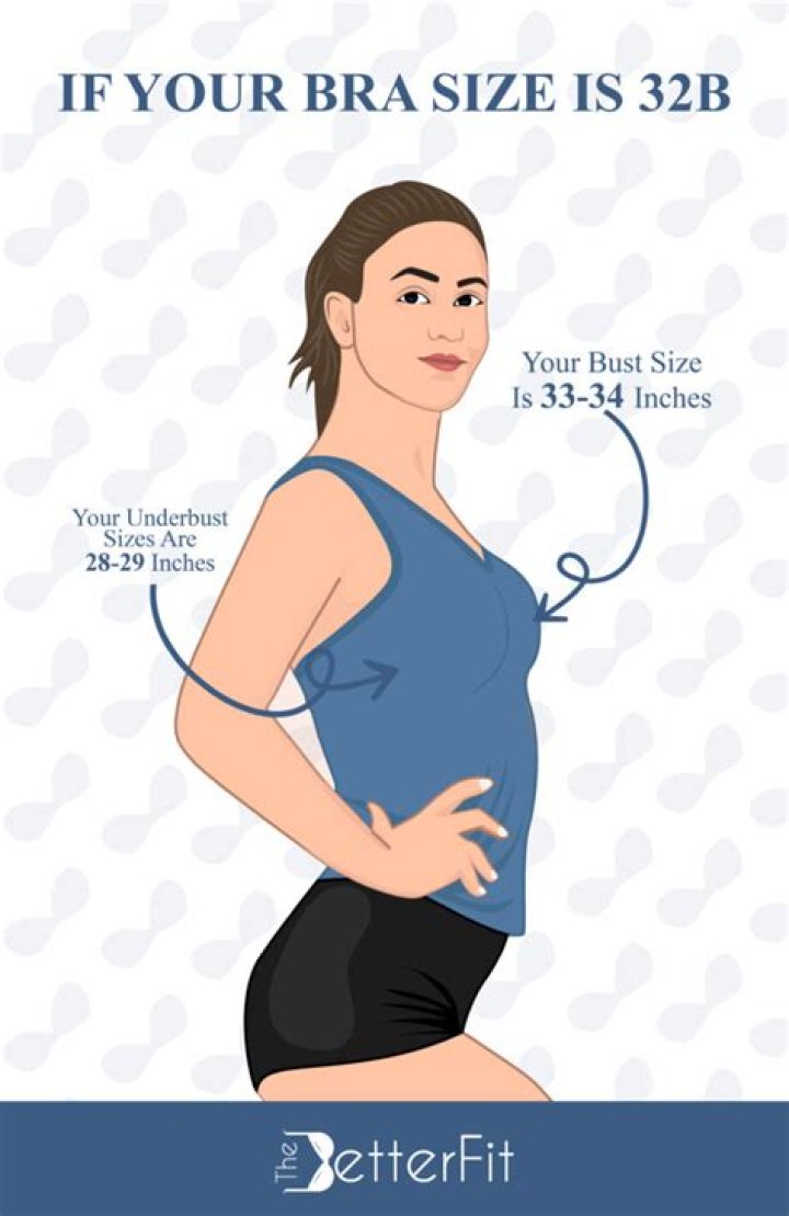 Question: How Big Is 32B Bra Size