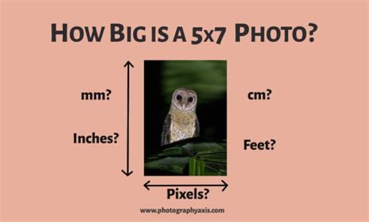Question: How Big Is 5 By 7 Inches
