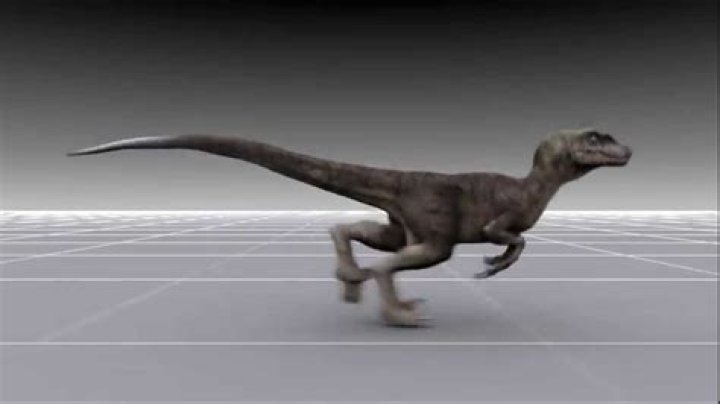 Question: How Fast Does A Raptor Run