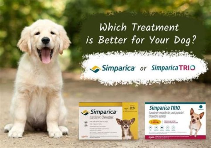 Question: How Long For Dog To Get Better After Simparica Reactions