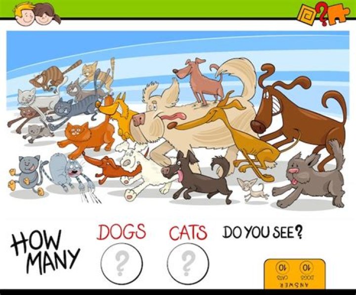 Question: How Many Cats And Dogs Die Each Year