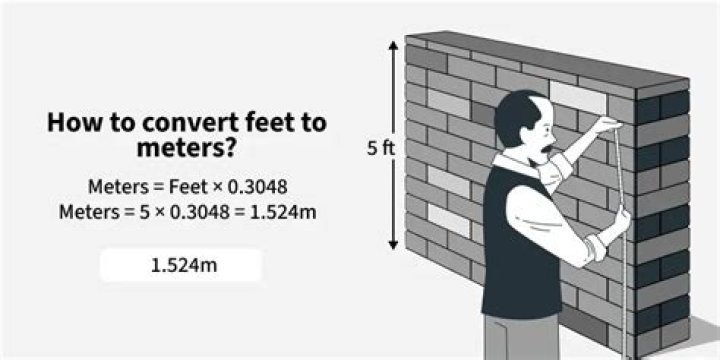 Question: How Many Feet Are In 15 Meters