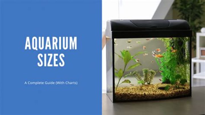 Question: How Much Space Does A 100 Gallon Fish Tank Weigh