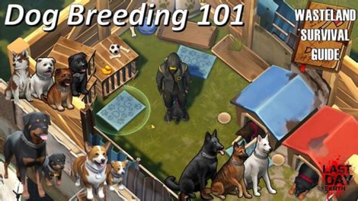 Question: How To Feed Dog In Wasteland Survival