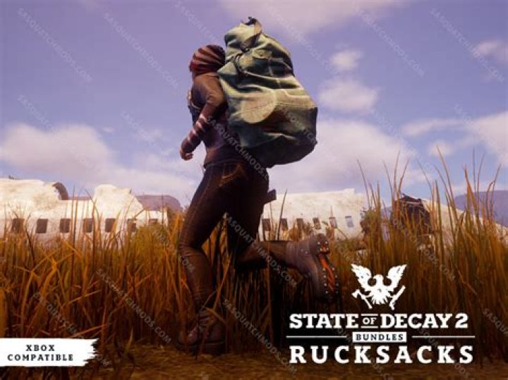 Question: How To Get A Bigger Backpack In State Of Decay