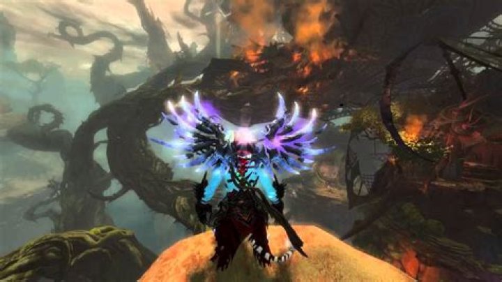 Question: How To Get A New Backpack Gw2
