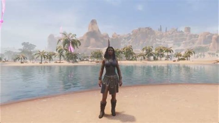 Question: How To Get The Backpack In Conan Exiles Ps4
